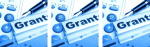 Proposal Preparation - Grant Writing Issues